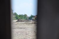 Imagine atasata: DSC_2233.JPG